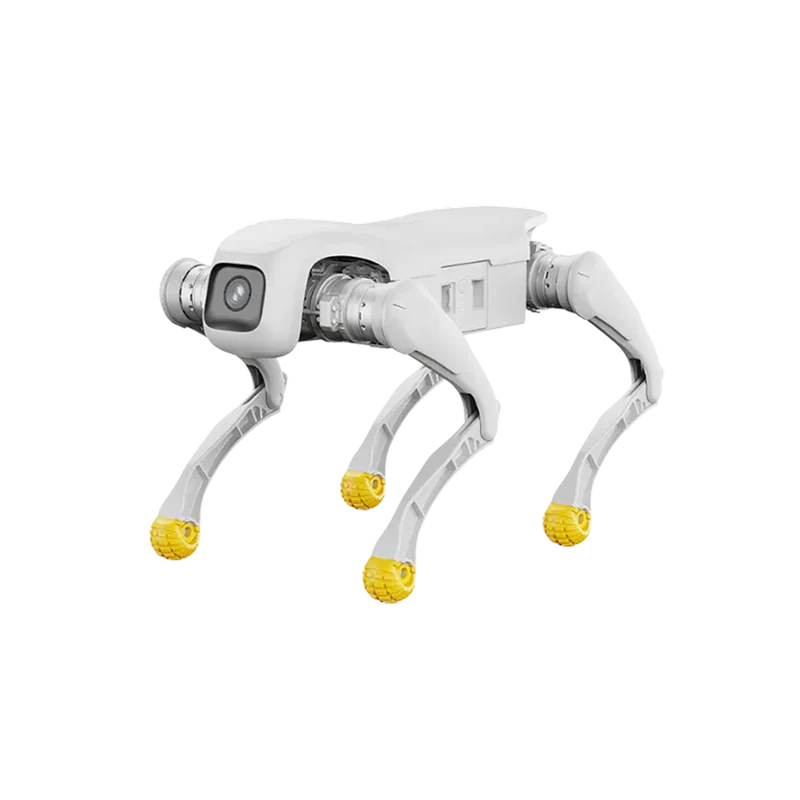 AGIBOT D1 Edu Quadruped Robot | Reinforcement Learning Four-Legged Robot for Education & Custom Development