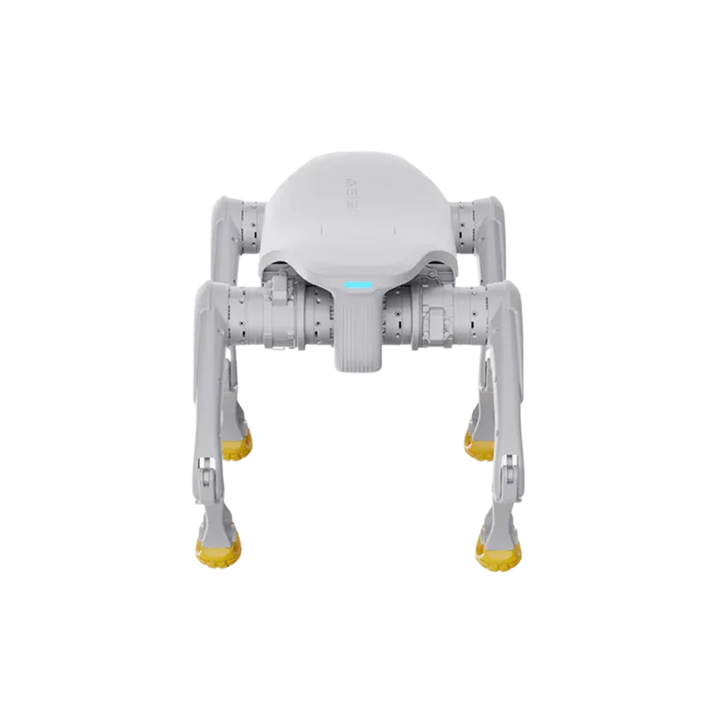 AGIBOT D1 Edu Quadruped Robot | Reinforcement Learning Four-Legged Robot for Education & Custom Development