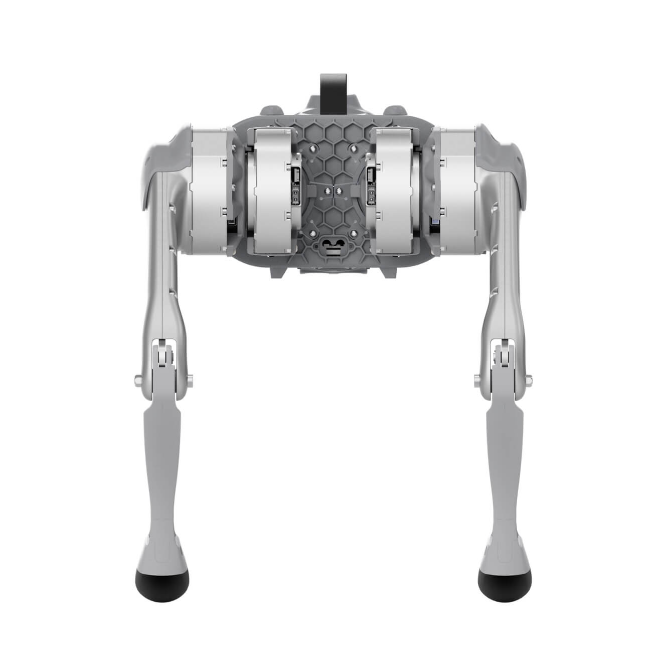 Unitree Go1 Quadruped Robot | Lightweight All-Terrain Robot Dog, Go1 Air & Go1 Pro Versions