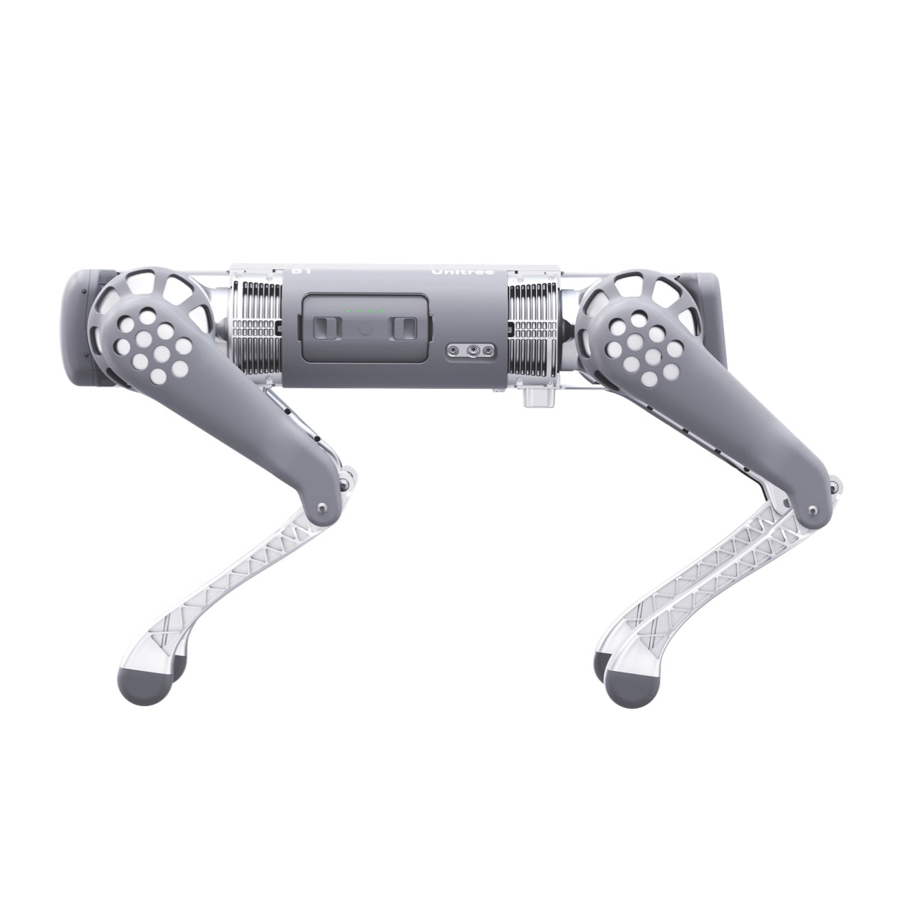 Unitree B1 Quadruped Robot | Heavy Payload All-Terrain Industrial Four-Legged Inspection Robot