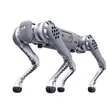 Unitree B1 Quadruped Robot | Heavy Payload All-Terrain Industrial Four-Legged Inspection Robot