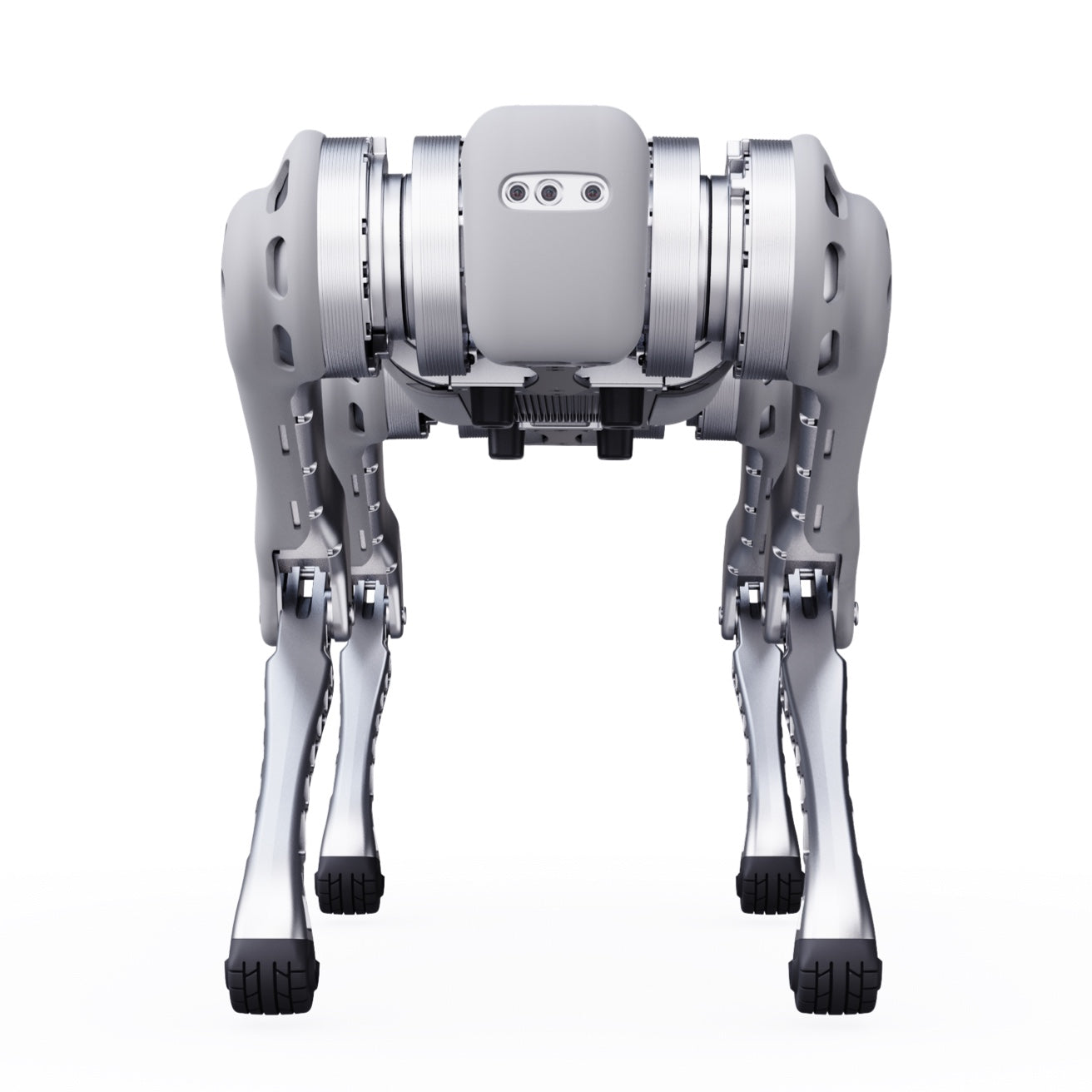Unitree B1 Quadruped Robot | Heavy Payload All-Terrain Industrial Four-Legged Inspection Robot