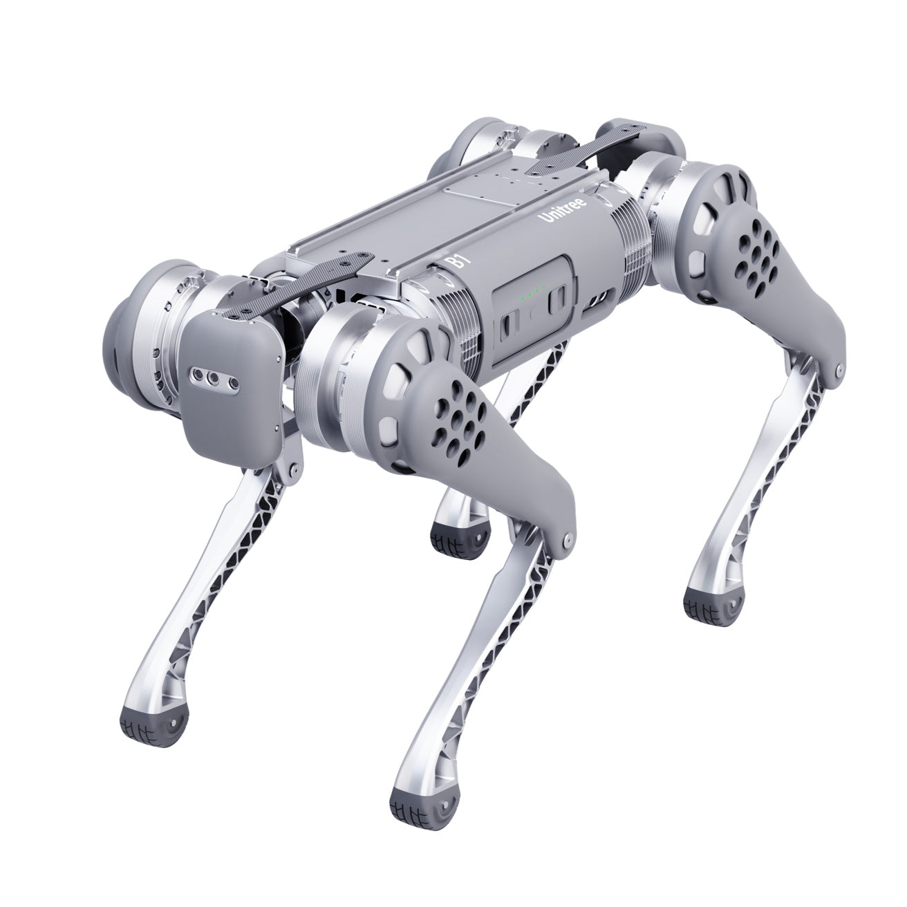 Unitree B1 Quadruped Robot | Heavy Payload All-Terrain Industrial Four-Legged Inspection Robot