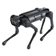 Aliengo Quadruped Robot | Medium Heavy-Duty All-Terrain Four-Legged Robot Platform for Research & Inspection