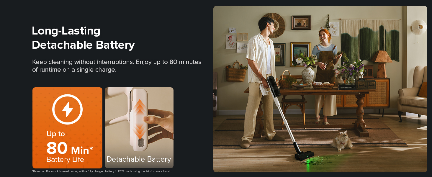 Detachable Battery