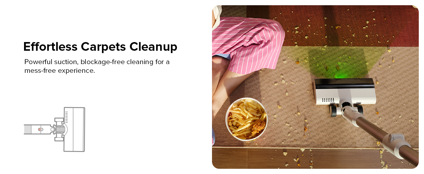 Carpets Cleaning