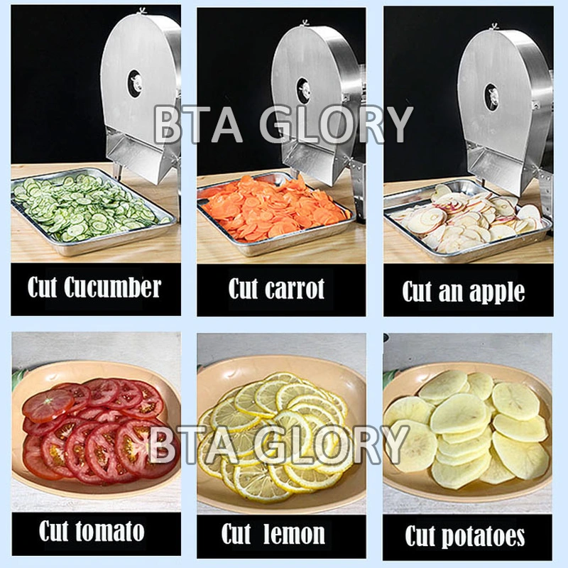 SD-3169XL 500KG/H Stainless Steel Lemon Apple Cutter Slicer Machine