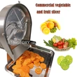 Stainless Steel Vegetable And Fruit Manaual Slicer