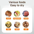 Food Dehydrator Fruit Vegetable Drying Oven