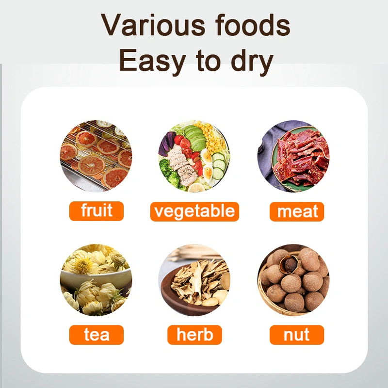 Food Dehydrator Fruit Vegetable Drying Oven