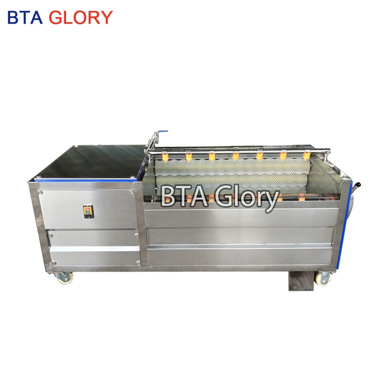  LYMG Series Brush Roller Cleaning And Peeling Machine