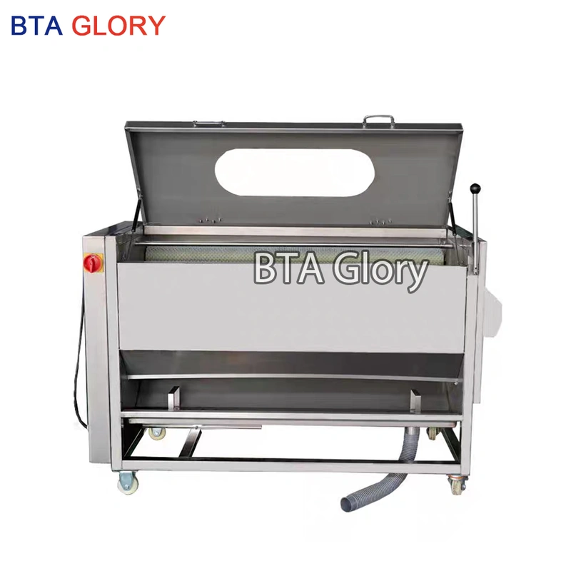  LYMG Series Brush Roller Cleaning And Peeling Machine