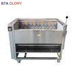  LYMG Series Brush Roller Cleaning And Peeling Machine