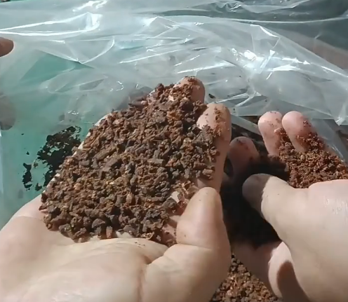 clove powder.png