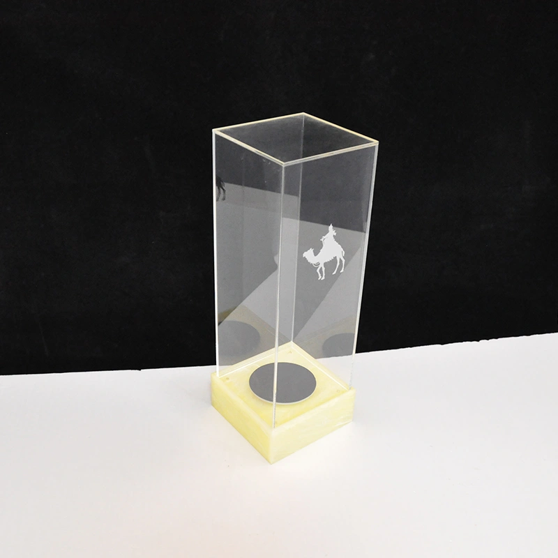 Acrylic wine bottle display case 