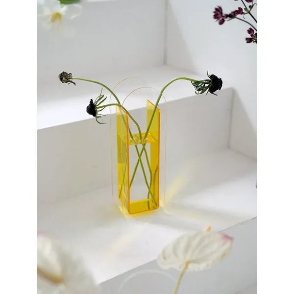 Acrylic Coloured vase