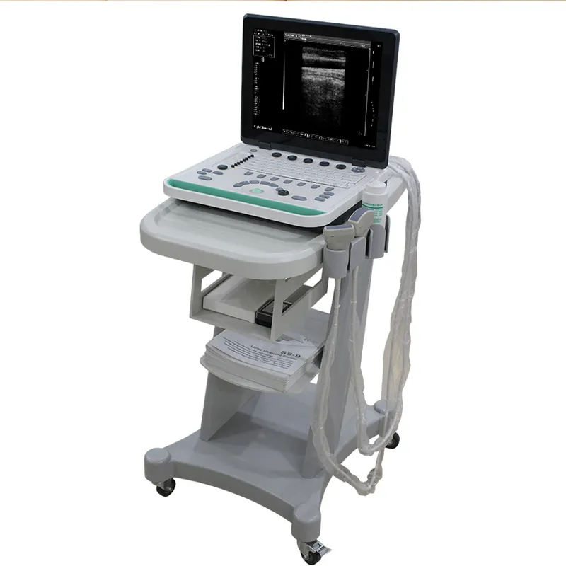 Cheapest Sedan Digital Ultrasound Machine LX-BW-L1