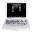 Notebook Ultrasound machine 5D Color Ultrasonic Diagnostic Apparatus