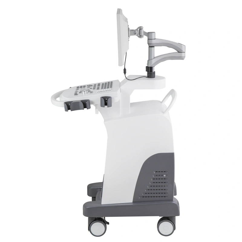 Low cost Trolley B&W ultrasound full digital machine ultrasound scan 