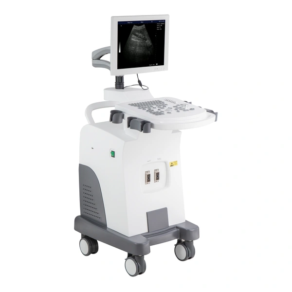 Low cost Trolley B&W ultrasound full digital machine ultrasound scan 