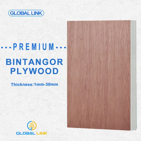 CHINA BINTANGOR PLYWOOD BINTANGOR