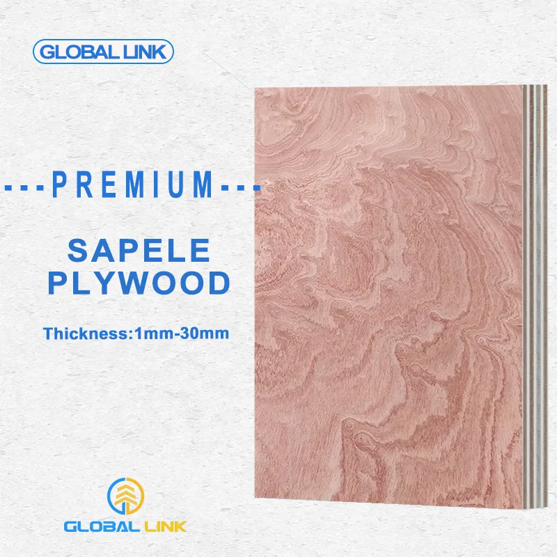 China sapele plywood cheap plywood China plywood factory 