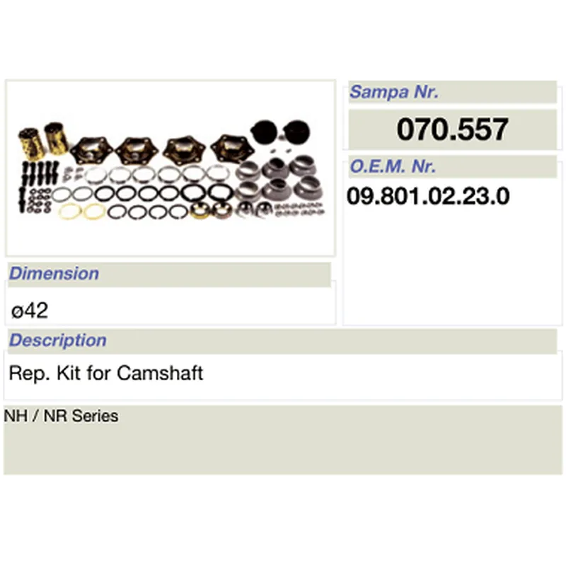 salsissimus et sex parts reparationis ornamentum pro bpw camshaft 09.801.02.23.0