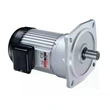 LV vertical geared motor