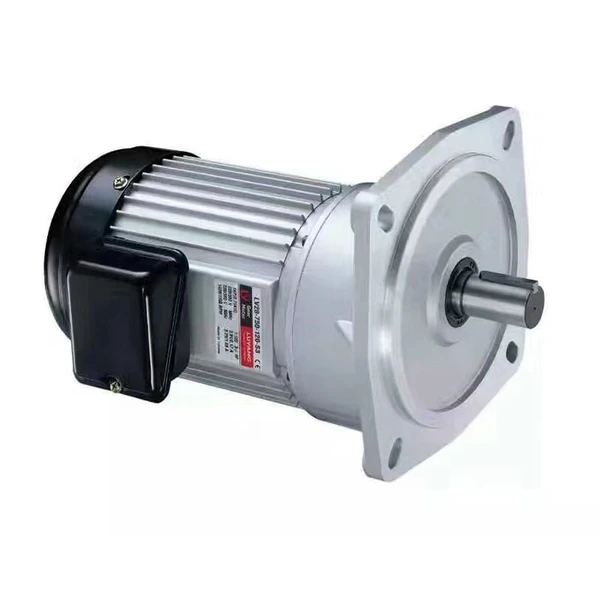 LV vertical geared motor