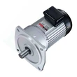 LV vertical geared motor