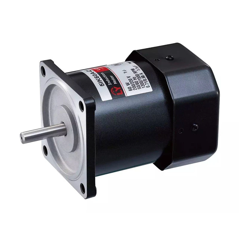 Reversible motor