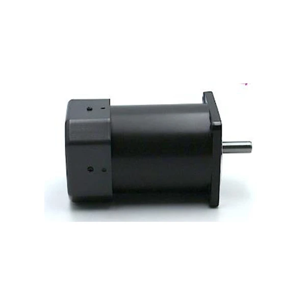 Reversible motor