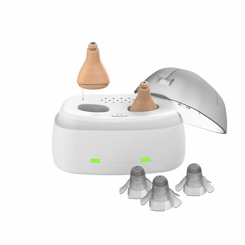 Mini sizes. It is the smallest Rechargeable CIC hearing aid in the world. 