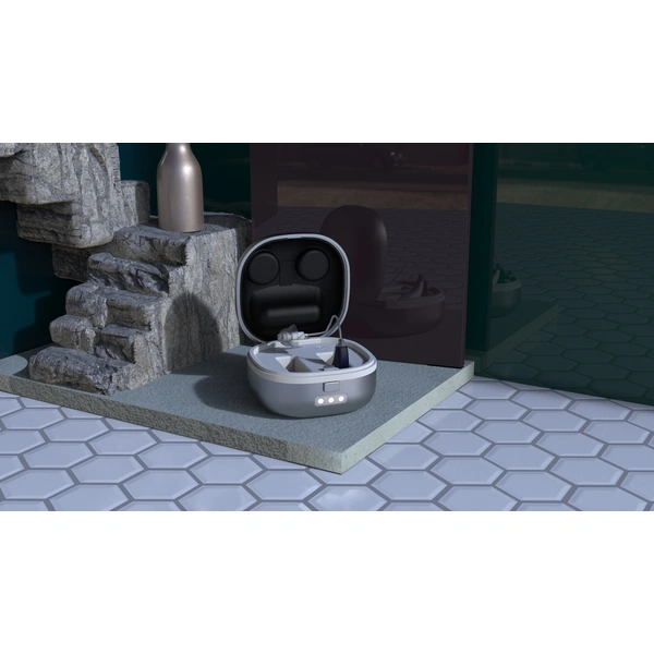 RIC hearing aid, OF hearing aid, hearing aid