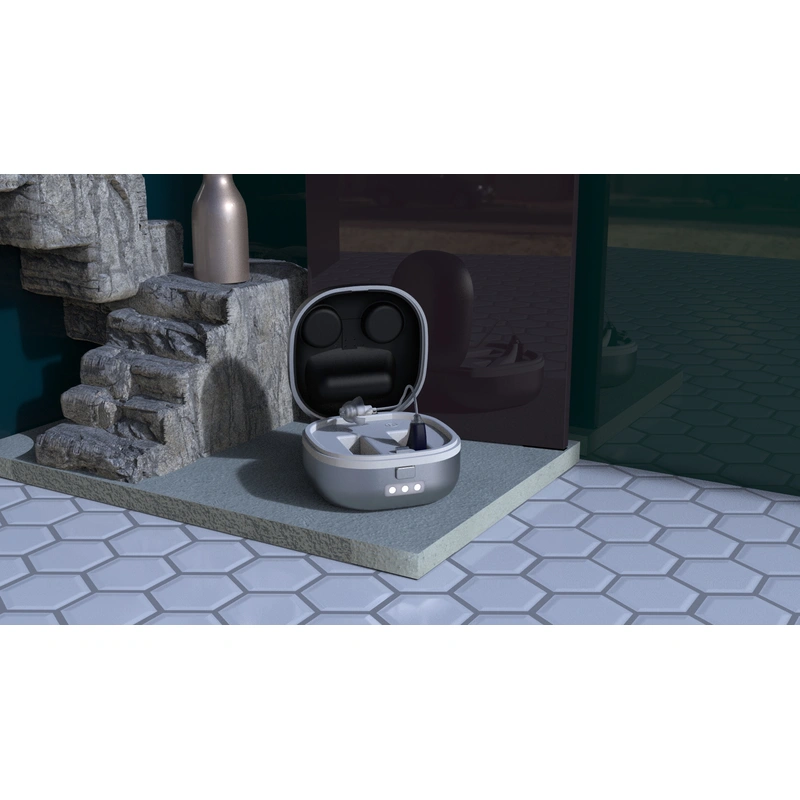 RIC hearing aid, OF hearing aid, hearing aid