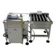 Automatic Wide Range Check Weigher Weighing Scales Roller Weight Inspection Machine Supply