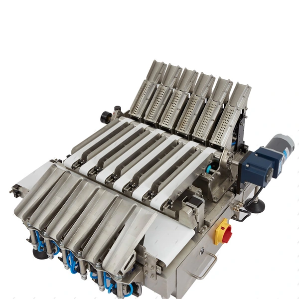 Multi Lane Check Weigher for Strip Package Food Medicine 10 Channels Efficient Inspection Weighing Checkweigher China