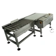 High-Capacity Automatic Checkweigher for 40kg Bags Conveyor Dynamic Check Weigher