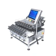 Blister Multi-Lane Checkweigher for Pharmaceutical Lines Sachet Pouch Check Weigher