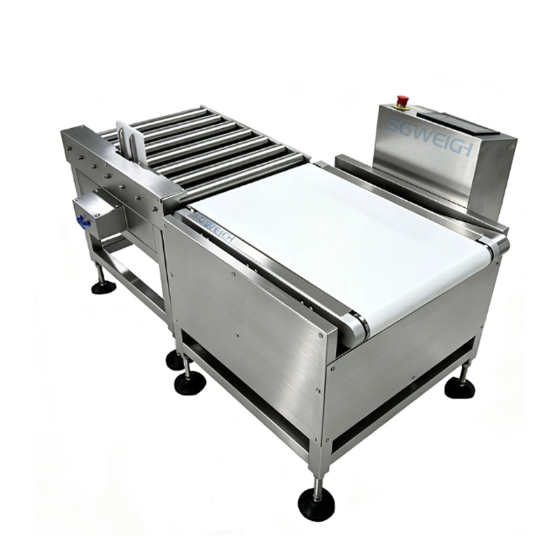 20kg Carton Dynamic Checkweigher for Food Packaging Heavy-Duty Weight Checker