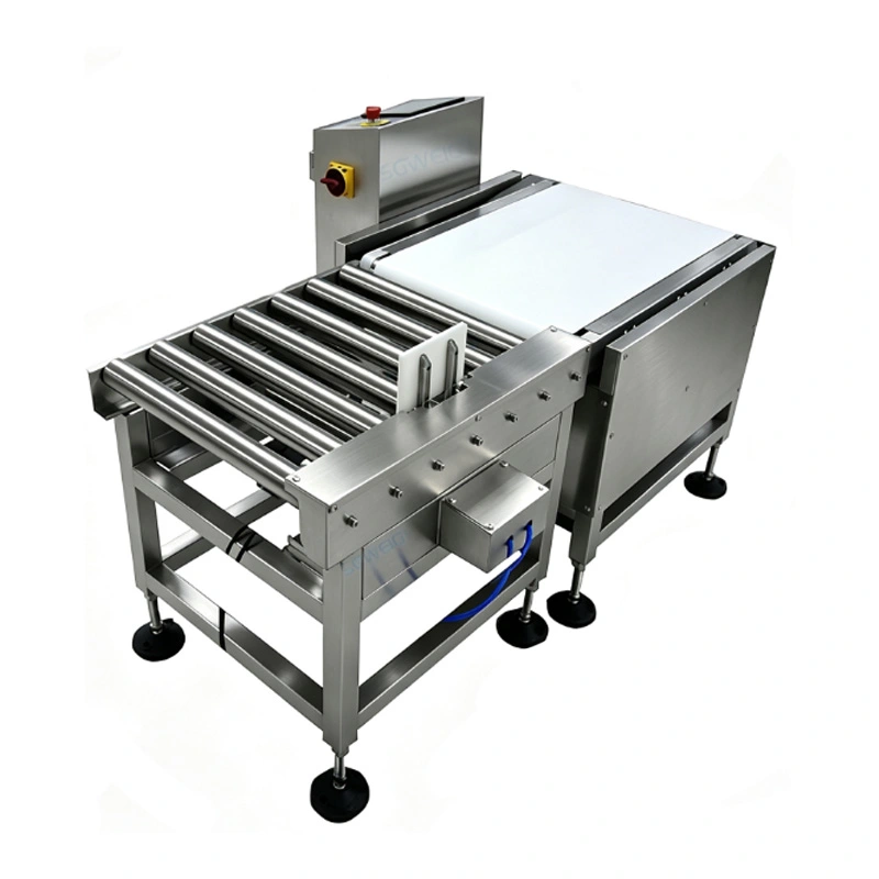20kg Carton Dynamic Checkweigher for Food Packaging Heavy-Duty Weight Checker