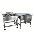 Wide Range Package Conveyor Checkweigher System Carton Bag Weight Checking Machine