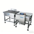 Wide Range Package Conveyor Checkweigher System Carton Bag Weight Checking Machine