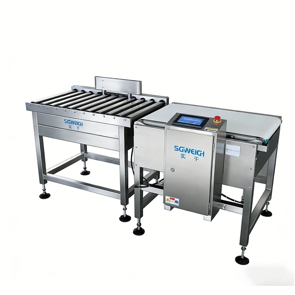 Wide Range Package Conveyor Checkweigher System Carton Bag Weight Checking Machine