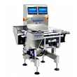 Small Tube Dual-Lane Checkweigher High-Speed Inspection Weight Checking System