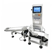 Inline Checkweigher with Inclined Conveyor Automatic Checkweighing System