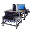 Pharmaceutical Multi-Lane Checkweigher for Strip Packs Accurate Checkweigher