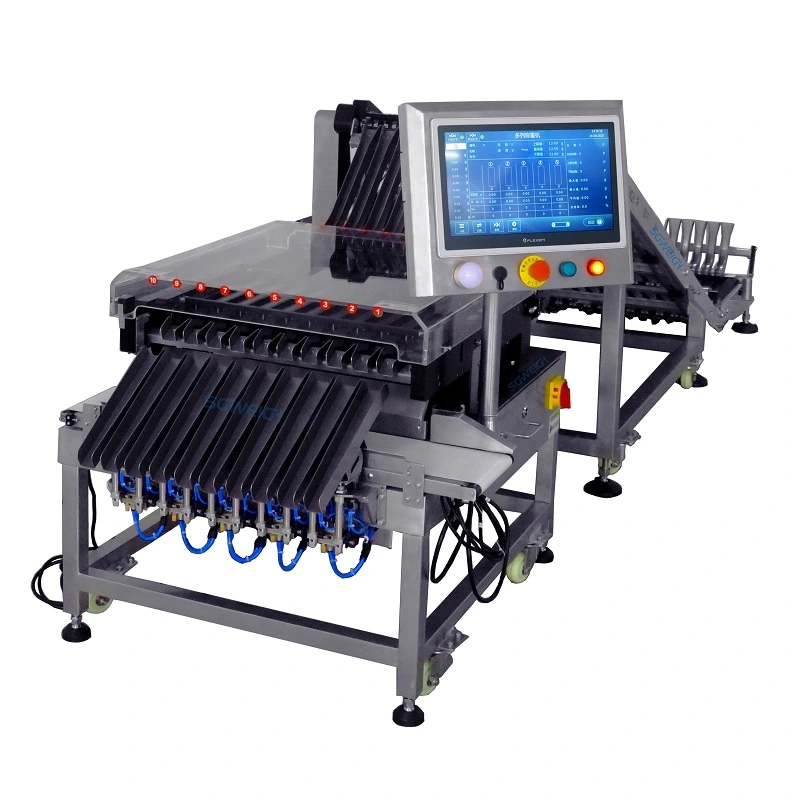 Pharmaceutical Multi-Lane Checkweigher for Strip Packs Accurate Checkweigher