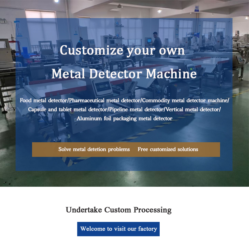 custom metal detector.jpg