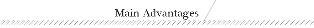Main Features.jpg